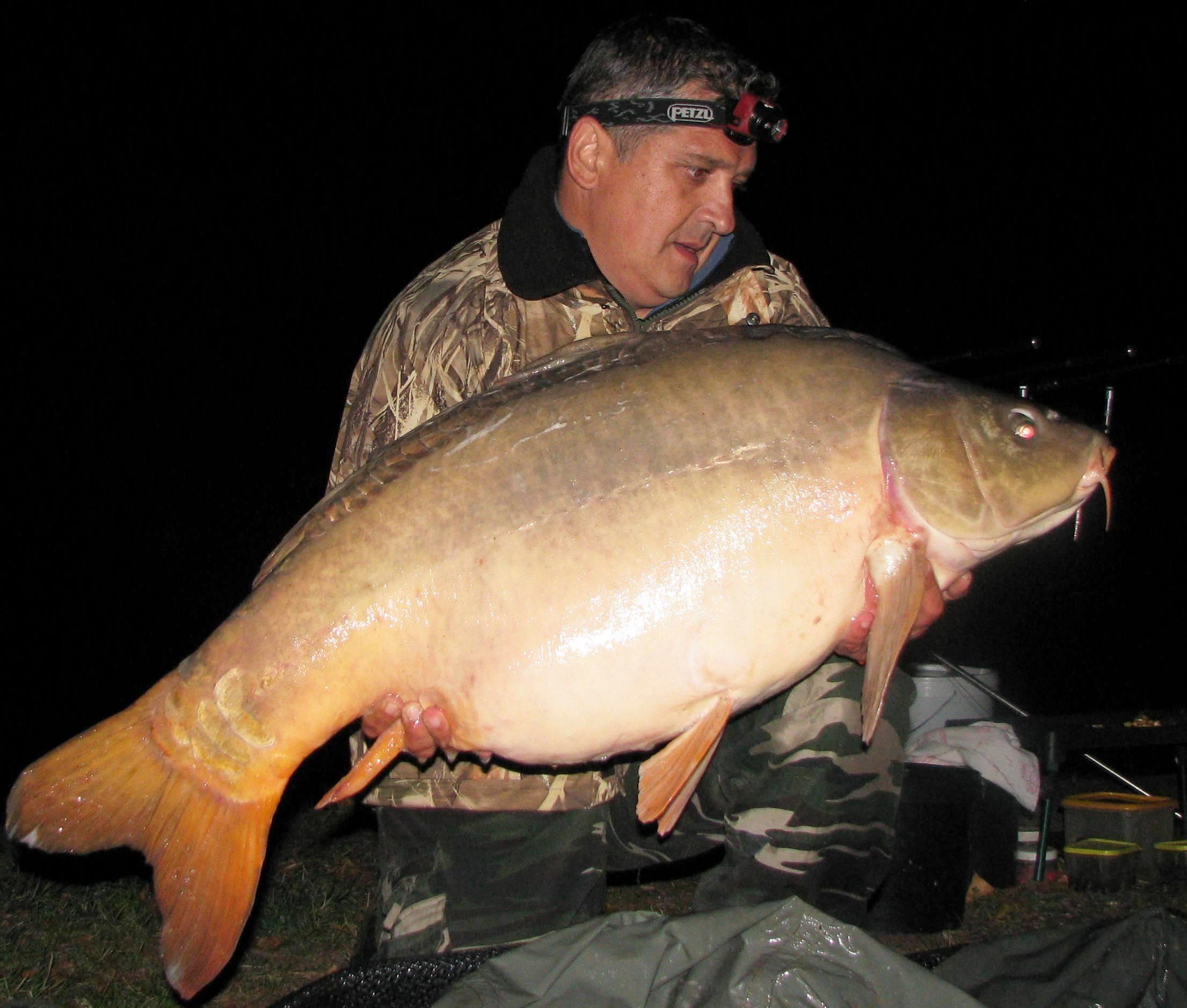 septembrie - octombrie 2012 - 20,3 kg